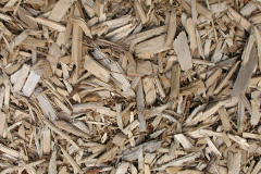 biomass boilers Umberleigh